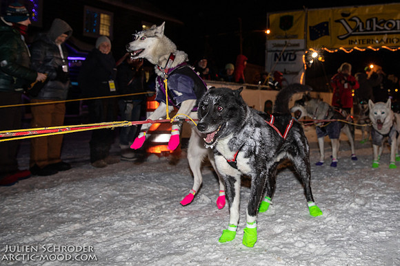 untitled-YukonQuest2019-JSchroder_20190206_D4_4874