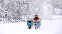 Dawson-YukonQuest2019-JSchroder_20190205_D4_4357