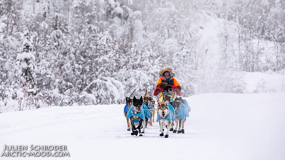 Dawson-YukonQuest2019-JSchroder_20190205_D4_4357