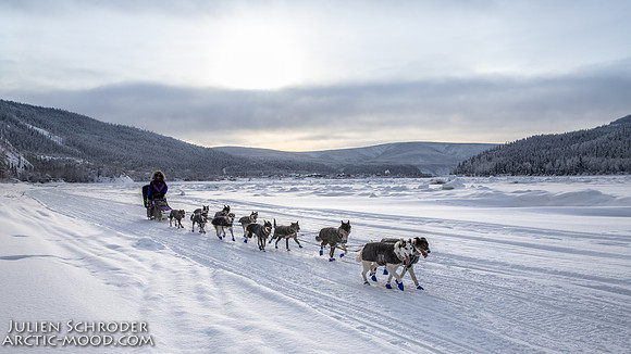 untitled-YukonQuest2019-JSchroder_20190207IMG_9822