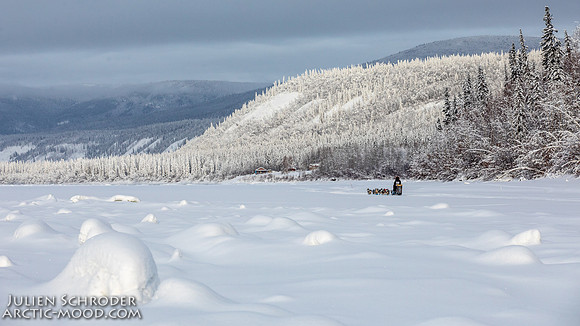 untitled-YukonQuest2019-JSchroder_20190207_D4_7681
