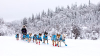 Dawson-YukonQuest2019-JSchroder_20190205_D4_4349
