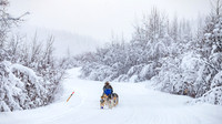 Dawson-YukonQuest2019-JSchroder_20190205IMG_7798