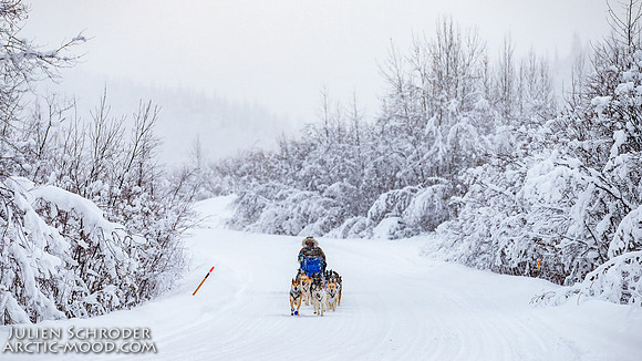 Dawson-YukonQuest2019-JSchroder_20190205IMG_7798