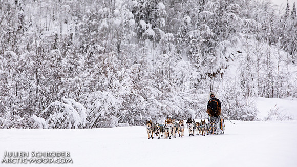 Dawson-YukonQuest2019-JSchroder_20190205_D4_4379