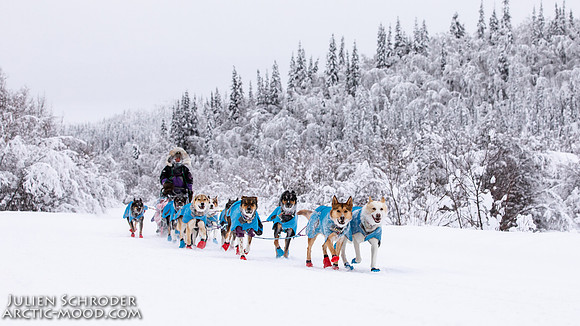 Dawson-YukonQuest2019-JSchroder_20190205_D4_4348