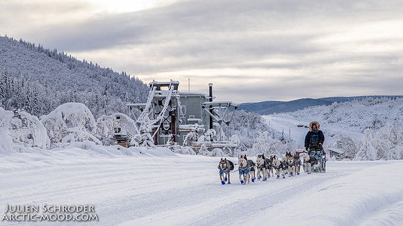 untitled-YukonQuest2019-JSchroder_20190206IMG_7808