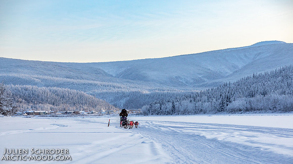 untitled-YukonQuest2019-JSchroder_20190207_D4_7701