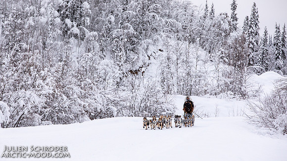Dawson-YukonQuest2019-JSchroder_20190205_D4_4375