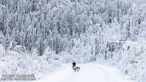 untitled-YukonQuest2019-JSchroder_20190206_D4_5160