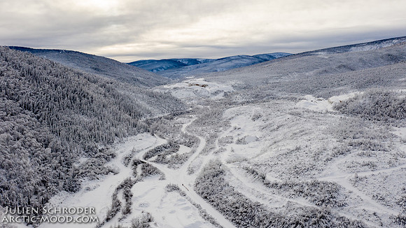 untitled-YukonQuest2019-JSchroder_20190206DJI_0395