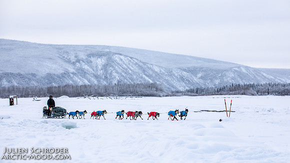 untitled-YukonQuest2019-JSchroder_20190206_D4_5389