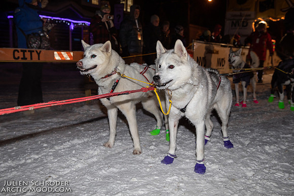 untitled-YukonQuest2019-JSchroder_20190206_D4_4875