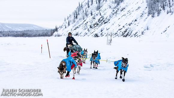 untitled-YukonQuest2019-JSchroder_20190206_D4_5403