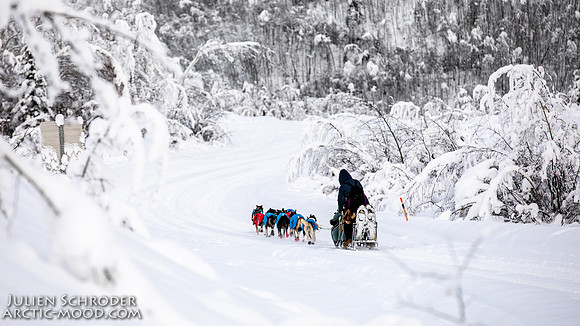 untitled-YukonQuest2019-JSchroder_20190206_D4_5310