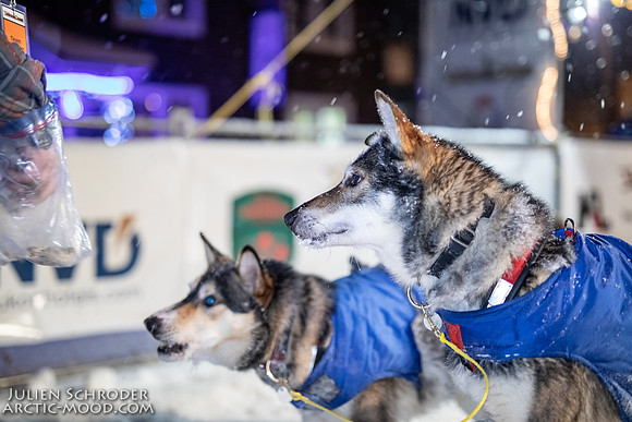 untitled-YukonQuest2019-JSchroder_20190206_D4_4665