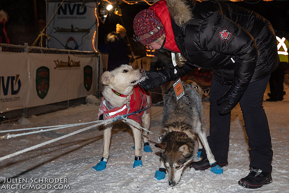 untitled-YukonQuest2019-JSchroder_20190206_D4_4822