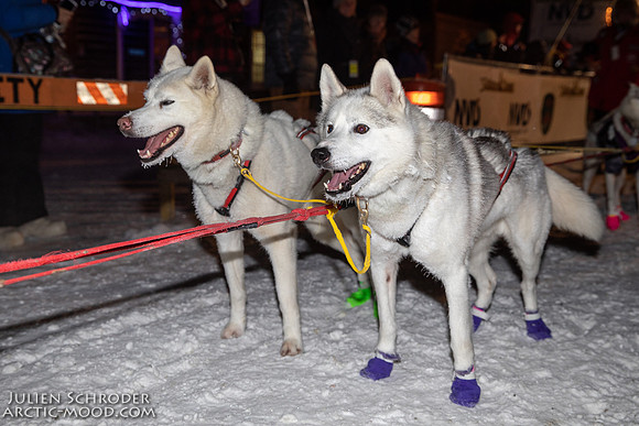 untitled-YukonQuest2019-JSchroder_20190206_D4_4876