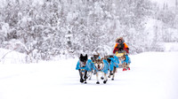 Dawson-YukonQuest2019-JSchroder_20190205_D4_4362