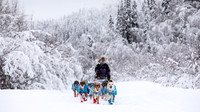 Dawson-YukonQuest2019-JSchroder_20190205_D4_4345