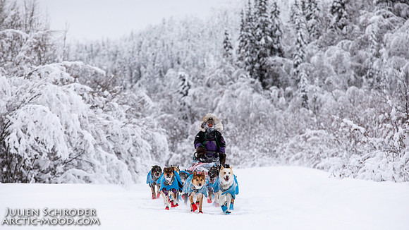 Dawson-YukonQuest2019-JSchroder_20190205_D4_4345