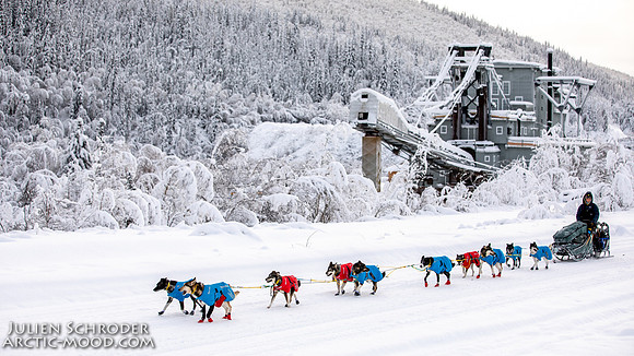 untitled-YukonQuest2019-JSchroder_20190206_D4_5271