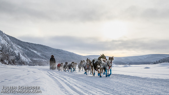 untitled-YukonQuest2019-JSchroder_20190207IMG_9860