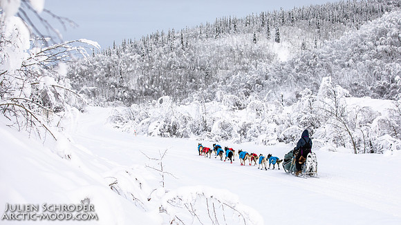 untitled-YukonQuest2019-JSchroder_20190206_D4_5303