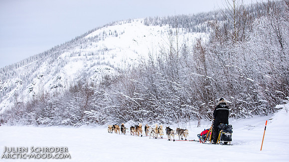 untitled-YukonQuest2019-JSchroder_20190206_D4_5366