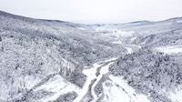 Dawson-YukonQuest2019-JSchroder_20190205DJI_0358