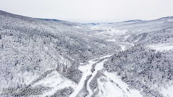 Dawson-YukonQuest2019-JSchroder_20190205DJI_0358
