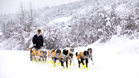 Dawson-YukonQuest2019-JSchroder_20190205_D4_4332