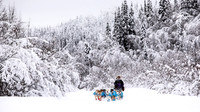 Dawson-YukonQuest2019-JSchroder_20190205_D4_4341