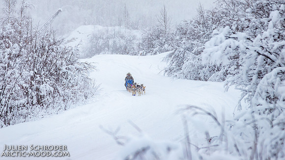 Dawson-YukonQuest2019-JSchroder_20190205IMG_7785