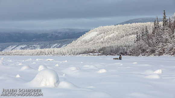 untitled-YukonQuest2019-JSchroder_20190207_D4_7684