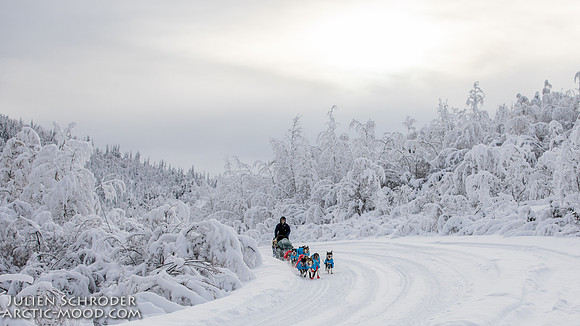 untitled-YukonQuest2019-JSchroder_20190206_D4_5196