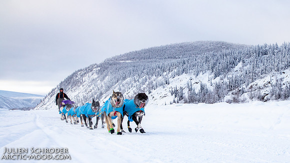 untitled-YukonQuest2019-JSchroder_20190207IMG_9781