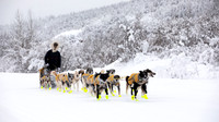 Dawson-YukonQuest2019-JSchroder_20190205_D4_4334