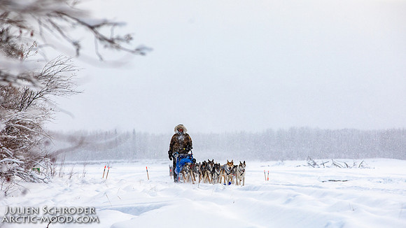 Dawson-YukonQuest2019-JSchroder_20190205_D4_4462