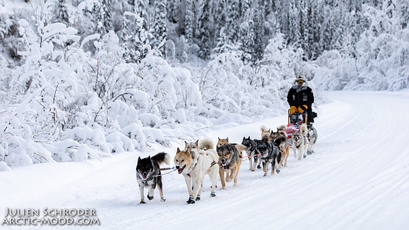 untitled-YukonQuest2019-JSchroder_20190206_D4_5174