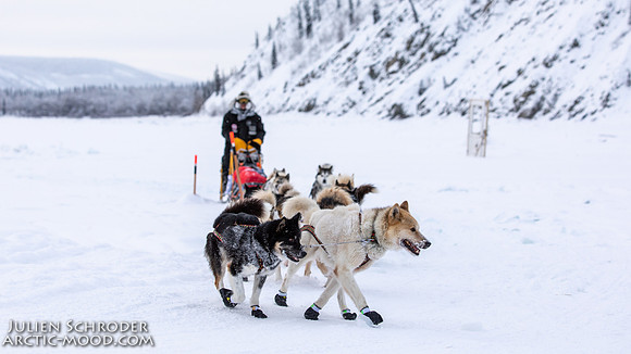 untitled-YukonQuest2019-JSchroder_20190206_D4_5356