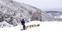 Dawson-YukonQuest2019-JSchroder_20190205_D4_4338
