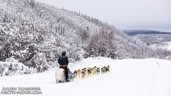 Dawson-YukonQuest2019-JSchroder_20190205_D4_4338