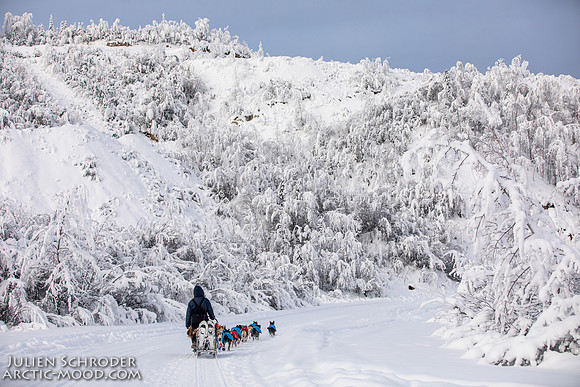 untitled-YukonQuest2019-JSchroder_20190206_D4_5213