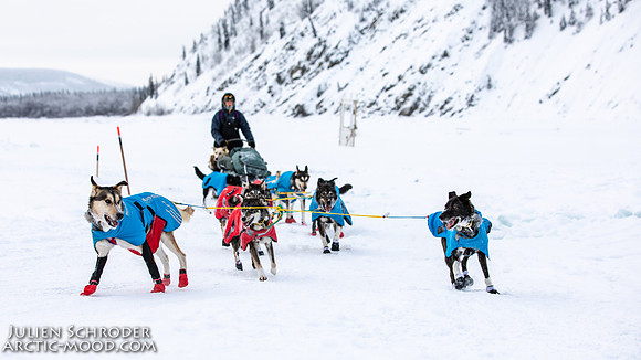 untitled-YukonQuest2019-JSchroder_20190206_D4_5404