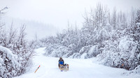 Dawson-YukonQuest2019-JSchroder_20190205IMG_7794