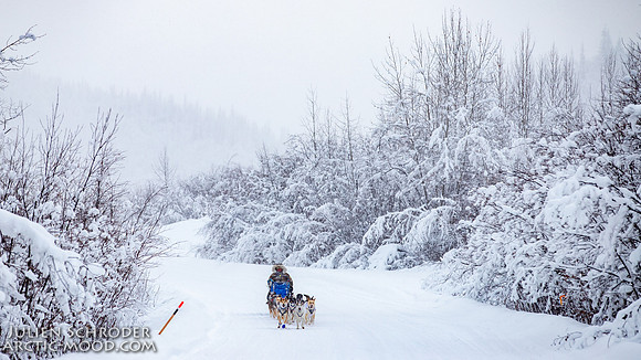 Dawson-YukonQuest2019-JSchroder_20190205IMG_7794