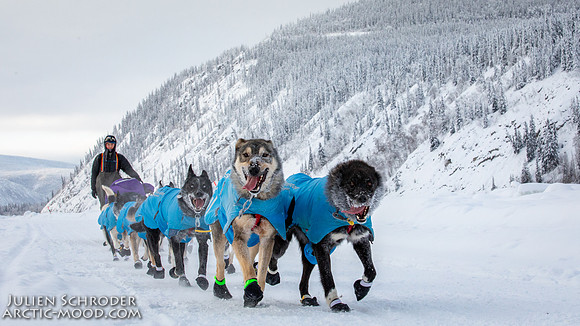 untitled-YukonQuest2019-JSchroder_20190207_D4_7598