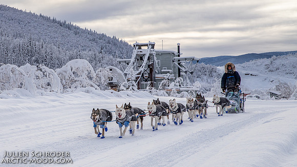 untitled-YukonQuest2019-JSchroder_20190206IMG_7812