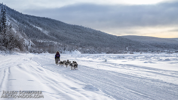 untitled-YukonQuest2019-JSchroder_20190207IMG_9807